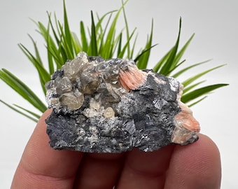 May include: A close-up of a mineral specimen featuring a dark gray matrix with clusters of clear and tan crystals. Patches of peach-colored mineral formations are visible, with green foliage in the background.