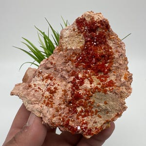 Red Vanadinite on Matrix from Morocco,Crystal, Mineral,Specimen,Cluster,Vanadinite Crystal, Vanadinite ,Geology,Vanadinite Cluster,Vanadinit