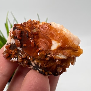 Red Vanadinite on Matrix from Morocco,Crystal, Mineral,Specimen,Cluster,Vanadinite Crystal, Vanadinite ,Geology,Vanadinite Cluster,Vanadinit