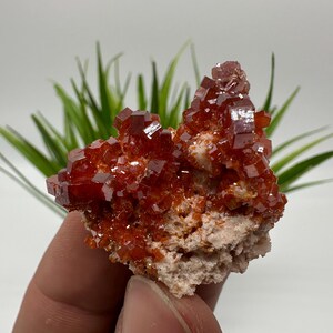 Red Vanadinite on BARITE from Morocco,Crystal, Mineral,Specimen,Cluster,Vanadinite Crystal, Vanadinite ,Geology,Vanadinite Cluster,Vanadinit