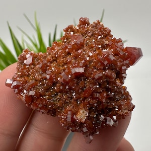 Red Vanadinite on BARITE from Morocco,Crystal, Mineral,Specimen,Cluster,Vanadinite Crystal, Vanadinite ,Geology,Vanadinite Cluster,Vanadinit