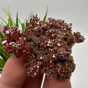 Red Vanadinite on BARITE from Morocco,Crystal, Mineral,Specimen,Cluster,Vanadinite Crystal, Vanadinite ,Geology,Vanadinite Cluster,Vanadinit