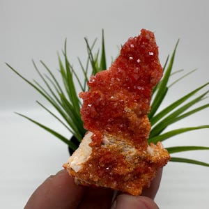 Red Vanadinite on Matrix from Morocco,Crystal, Mineral,Specimen,Cluster,Vanadinite Crystal, Vanadinite ,Geology,Vanadinite Cluster,Vanadinit