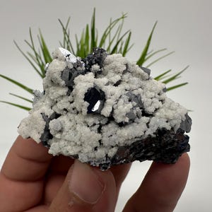 Stunning Galena whit Quartz,Calcite from Krushev dol mine,Madan,Bulgaria,natural,collection mineral specimen,Home decor stone,galena,Quarzt
