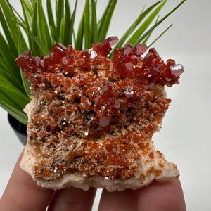 Red Vanadinite on BARITE from Morocco,Crystal, Mineral,Specimen,Cluster,Vanadinite Crystal, Vanadinite ,Geology,Vanadinite Cluster,Vanadinit
