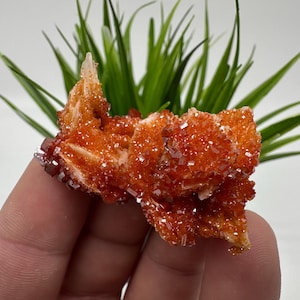 Red Vanadinite on BARITE from Morocco,Crystal, Mineral,Specimen,Cluster,Vanadinite Crystal, Vanadinite ,Geology,Vanadinite Cluster,Vanadinit
