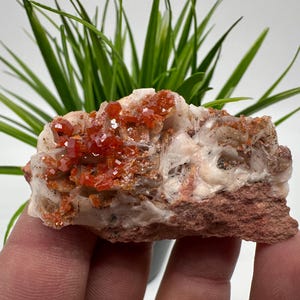 Rode vanadiniet op BARITE uit Marokko, kristal, mineraal, monster, cluster, vanadinietkristal, vanadiniet, geologie, vanadinietcluster, vanadiniet