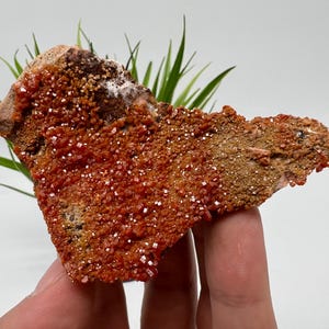 Red Vanadinite on BARITE from Morocco,Crystal, Mineral,Specimen,Cluster,Vanadinite Crystal, Vanadinite ,Geology,Vanadinite Cluster,Vanadinit