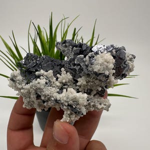Stunning Galena whit Quartz,Calcite from Krushev dol mine,Madan,Bulgaria,natural,collection mineral specimen,Home decor stone,galena,Quarzt