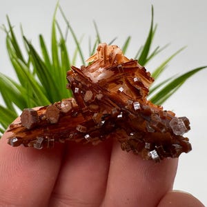 Red Vanadinite on Matrix from Morocco,Crystal, Mineral,Specimen,Cluster,Vanadinite Crystal, Vanadinite ,Geology,Vanadinite Cluster,Vanadinit