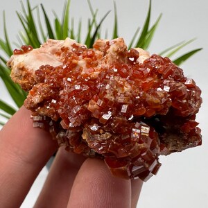 Red Vanadinite on BARITE from Morocco,Crystal, Mineral,Specimen,Cluster,Vanadinite Crystal, Vanadinite ,Geology,Vanadinite Cluster,Vanadinit