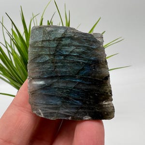 Multifire Labradorite Slab: Polished Crystal Decor Slice (50/35mm, 50 grams)