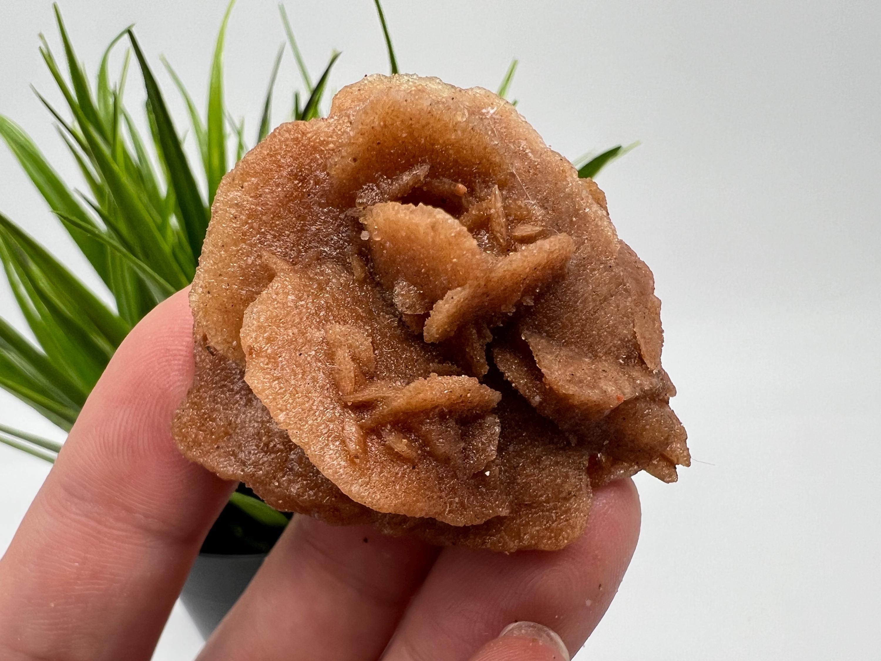 Desert rose stone - Etsy 日本