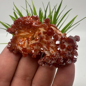 Red Vanadinite on BARITE from Morocco,Crystal, Mineral,Specimen,Cluster,Vanadinite Crystal, Vanadinite ,Geology,Vanadinite Cluster,Vanadinit