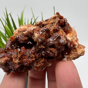 Red Vanadinite on BARITE from Morocco,Crystal, Mineral,Specimen,Cluster,Vanadinite Crystal, Vanadinite ,Geology,Vanadinite Cluster,Vanadinit