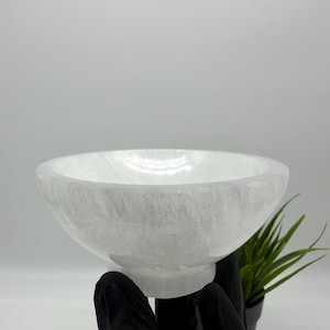 Pode incluir: Uma tigela branca e redonda com uma superfície lisa e polida. A tigela é feita de um material sólido e opaco e tem um design largo e raso. A tigela é segurada por uma superfície preta. Uma planta verde está no fundo.
