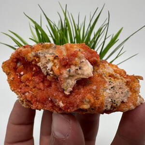 Red Vanadinite on Matrix from Morocco,Crystal, Mineral,Specimen,Cluster,Vanadinite Crystal, Vanadinite ,Geology,Vanadinite Cluster,Vanadinit