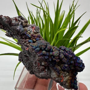 Iriserend goethiet uit Spanje, goethietkristal, iriserend kristal, mineraalmonster, verzameling, verzamelaars, regenbooggoethiet, clusters
