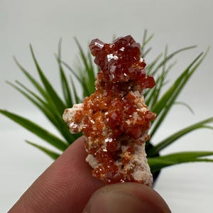 Red Vanadinite on Matrix from Morocco,Crystal, Mineral,Specimen,Cluster,Vanadinite Crystal, Vanadinite ,Geology,Vanadinite Cluster,Vanadinit