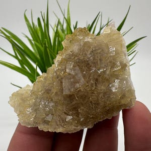 Yellow Fluorite,Pyrite from Spain,Mineral Specimen,Yellow Fluorite,Fluorite from Spain,Collection, Fluorite Collectors, Crystal Fluorite