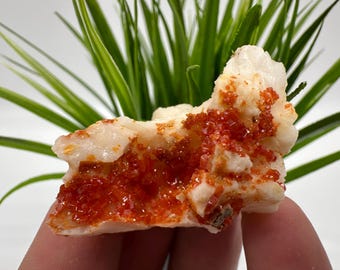Red Vanadinite on BARITE from Morocco,Crystal, Mineral,Specimen,Cluster,Vanadinite Crystal, Vanadinite ,Geology,Vanadinite Cluster,Vanadinit