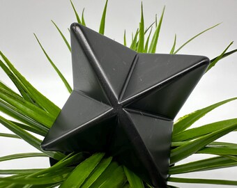 May include: A black, geometric star-shaped planter made of a hard, smooth material. The planter is sitting on top of a green plant with long, thin leaves.