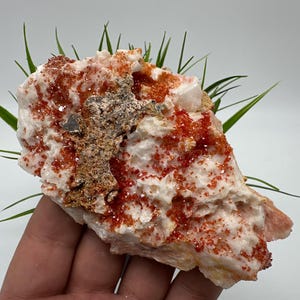 Red Vanadinite on BARITE from Morocco,Crystal, Mineral,Specimen,Cluster,Vanadinite Crystal, Vanadinite ,Geology,Vanadinite Cluster,Vanadinit