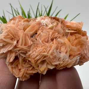Very nice Baryte with Cerussite from Morocco,Crystal, Mineral,Specimen,Cluster, Crystals,Barite Crystal,Cerussite,Cerussite Crystal,Specimen