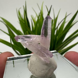 AMETHYST Veracruz,Mexico Crystal cluster,Minerals,Collector Purple,Collection mineral specimen,Amethyst minerals,purple Amethyst,collector
