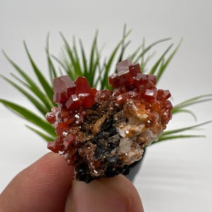 Red Vanadinite on Matrix from Morocco,Crystal, Mineral,Specimen,Cluster,Vanadinite Crystal, Vanadinite ,Geology,Vanadinite Cluster,Vanadinit