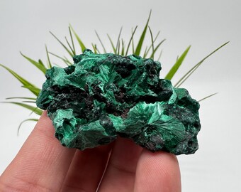 Congo Malachite Crystal, Green Mineral Specimen