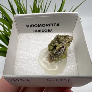 Pyromorphite Stone / Pyromorphite on Matrix / Pyromorphite Crystal / Raw Crystal / Pyromorphite Cluster / Rough Pyromorphite / Pyromorphite