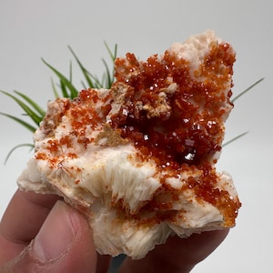 Red Vanadinite on Matrix from Morocco,Crystal, Mineral,Specimen,Cluster,Vanadinite Crystal, Vanadinite ,Geology,Vanadinite Cluster,Vanadinit