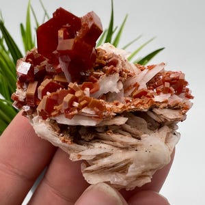 Red Vanadinite on Matrix from Morocco,Crystal, Mineral,Specimen,Cluster,Vanadinite Crystal, Vanadinite ,Geology,Vanadinite Cluster,Vanadinit