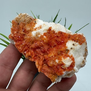 Red Vanadinite on Matrix from Morocco,Crystal, Mineral,Specimen,Cluster,Vanadinite Crystal, Vanadinite ,Geology,Vanadinite Cluster,Vanadinit