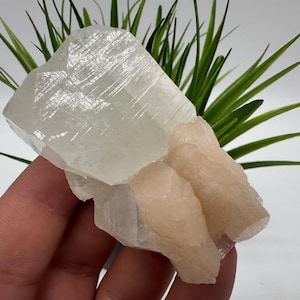 Impressionante Apophyllite, Stilbite, natural, coleção de minerais espécime, Índia Minerais, Cristal, Pedra Minerais Espécimes Índia Cristais, minerais