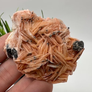 Bellissima barite con cerussite dal Marocco, cristallo, minerale, esemplare, cluster, cristalli, cristallo di barite, cerussite, cristallo di cerussite, esemplare