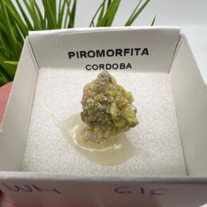 Pyromorphite Stone / Pyromorphite on Matrix / Pyromorphite Crystal / Raw Crystal / Pyromorphite Cluster / Rough Pyromorphite / Pyromorphite