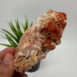 Red Vanadinite on BARITE from Morocco,Crystal, Mineral,Specimen,Cluster,Vanadinite Crystal, Vanadinite ,Geology,Vanadinite Cluster,Vanadinit