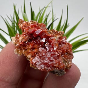 Rode vanadiniet op BARITE uit Marokko, kristal, mineraal, monster, cluster, vanadinietkristal, vanadiniet, geologie, vanadinietcluster, vanadiniet