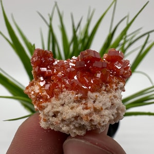 Red Vanadinite on Matrix from Morocco,Crystal, Mineral,Specimen,Cluster,Vanadinite Crystal, Vanadinite ,Geology,Vanadinite Cluster,Vanadinit