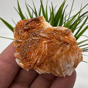 Rode vanadiniet op BARITE uit Marokko, kristal, mineraal, monster, cluster, vanadinietkristal, vanadiniet, geologie, vanadinietcluster, vanadiniet
