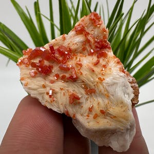 Rode vanadiniet op BARITE uit Marokko, kristal, mineraal, monster, cluster, vanadinietkristal, vanadiniet, geologie, vanadinietcluster, vanadiniet