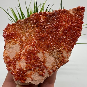 LARGE Red Vanadinite on Matrix from Morocco,Crystal, Mineral,Specimen,Cluster,Vanadinite Crystal, Vanadinite ,Geology,Vanadinite Cluster