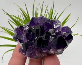 Uruguay Amethyst Crystal: Deep Purple Home Decor, 67 Grams