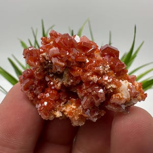 Red Vanadinite on BARITE from Morocco,Crystal, Mineral,Specimen,Cluster,Vanadinite Crystal, Vanadinite ,Geology,Vanadinite Cluster,Vanadinit