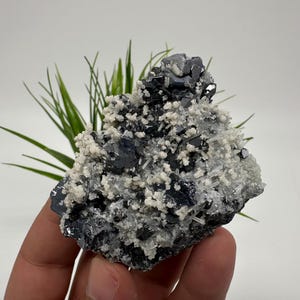 Stunning Galena whit Quartz,Calcite from Krushev dol mine,Madan,Bulgaria,natural,collection mineral specimen,Home decor stone,galena,Quarzt