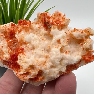 Red Vanadinite on Matrix from Morocco,Crystal, Mineral,Specimen,Cluster,Vanadinite Crystal, Vanadinite ,Geology,Vanadinite Cluster,Vanadinit