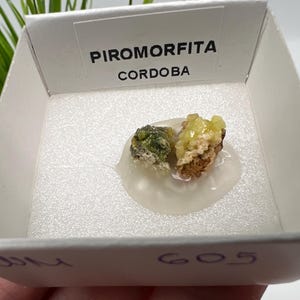 Pyromorphite Stone / Pyromorphite on Matrix / Pyromorphite Crystal / Raw Crystal / Pyromorphite Cluster / Rough Pyromorphite / Pyromorphite