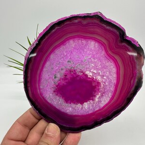 Könnte beinhalten: Eine polierte Achatscheibe mit konzentrischen Bändern in Rosa, Magenta und Weiß. Das Zentrum weist einen kristallinen Kern auf, und der äußere Rand ist tiefschwarz. Der Naturstein wird von einer Hand gehalten.